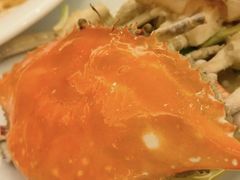 -锦江都城闵行饭店