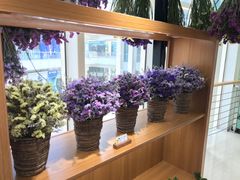 -L.C FLORA花予你(城西银泰城店)