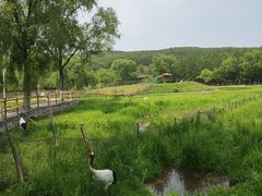 -哈尔滨北方森林动物园