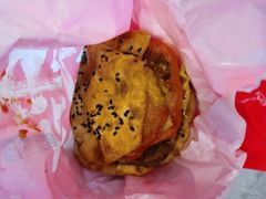 -塔斯汀中国汉堡(东平店)