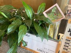 -佳藕天成(南宋御街店)
