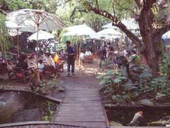-Fern Forest Cafe