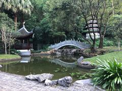 -深圳国际园林花卉博览园