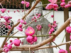 -苏州文庙(姑苏区)