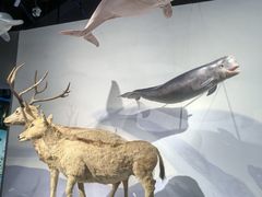 -中国湿地博物馆