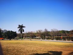 -东莞植物园