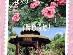 -东湖落雁景区