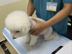 -美联众合动物医院·24h转诊中心