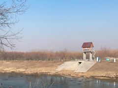 -东郊湿地公园