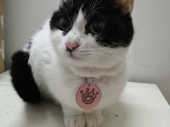 -招商银行(大坪支行)