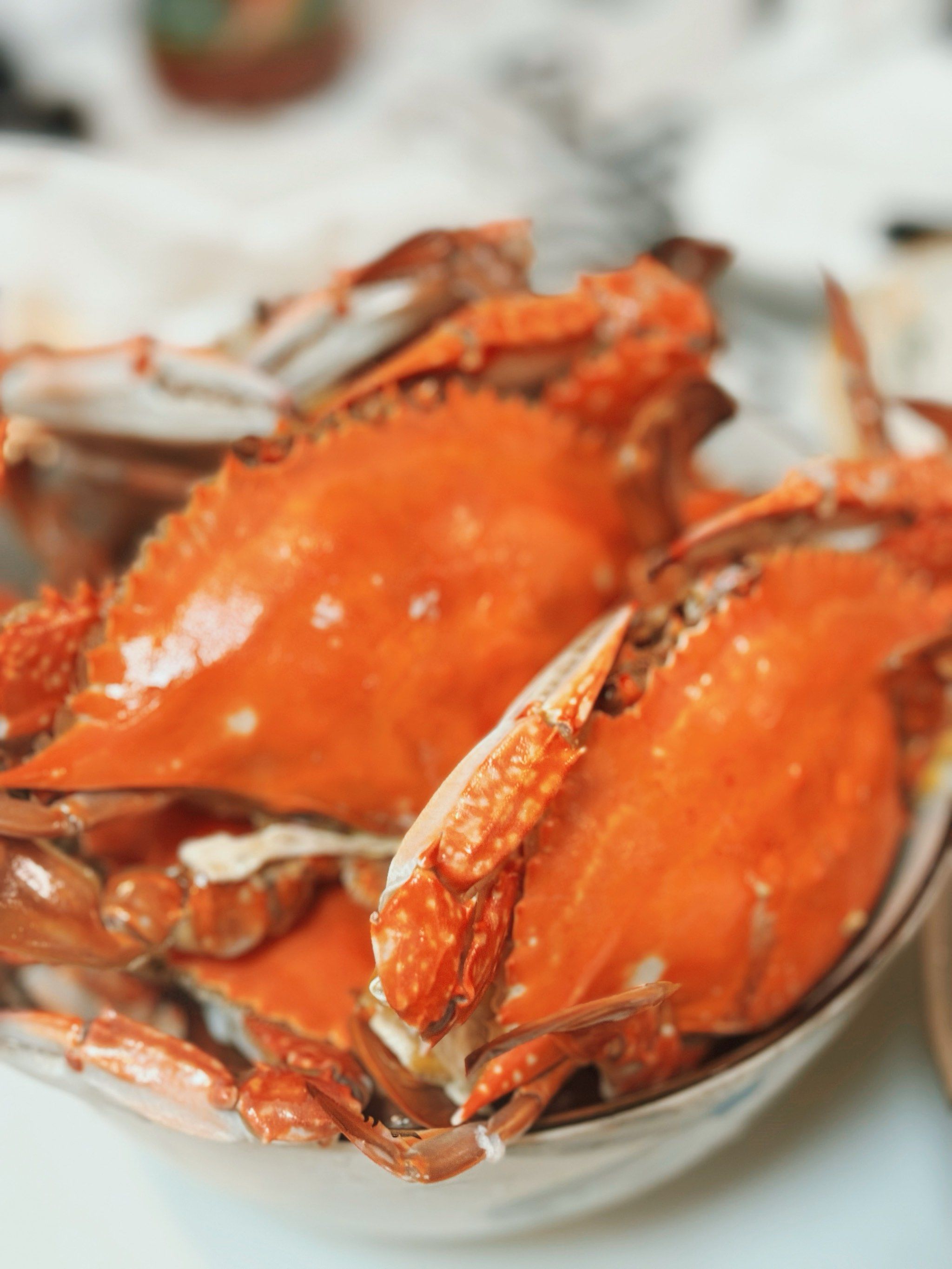 清新一夏 蒸螃蟹咯🦀