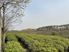 -南湾湖