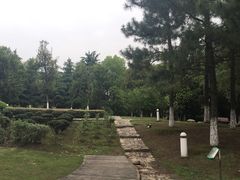 -白塘生态植物园