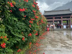 -万象洞风景名胜区