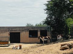 -青藏高原野生动物园