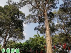 -番禺大夫山森林公园