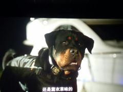 -大地影院(上海南汇店)