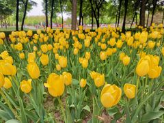 -长春公园(普阳街道)