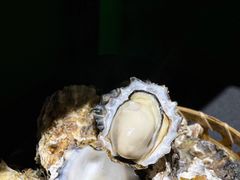 竹篮生蚝-全渔村小海鲜