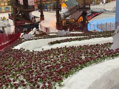 -广州热雪奇迹