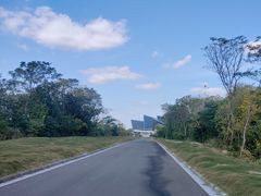 -盐城丹顶鹤湿地生态旅游区