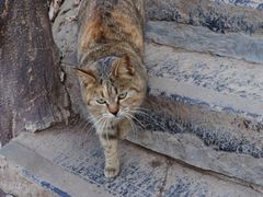 -终南山南五台景区