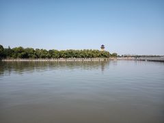 -溱湖国家湿地公园