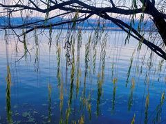-西昌邛海湿地