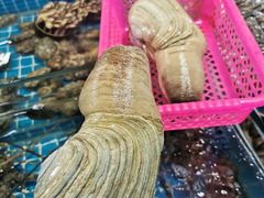 -三亚新鸿港水果一级批发市场