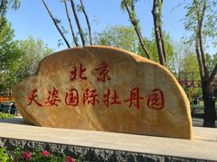 -太阳宫公园