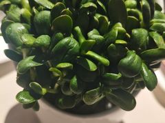 -浩爷羊蝎子火锅(双榆树店)