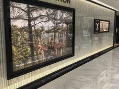 -乐天免税店(明洞店)