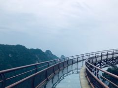 -少华山国家森林公园