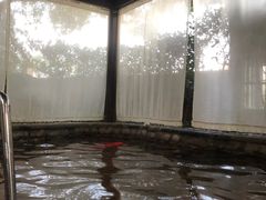 -杭州第一世界大酒店·云曼温泉