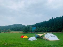 -武陵山森林公园