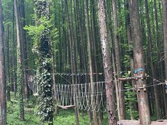 -山王坪喀斯特国家生态公园