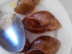 风卷残云后的蜗牛躯壳，哈哈，这道菜好美味-红房子西菜馆(淮海店)