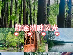 -三水森林公园