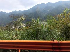 -塔川景区