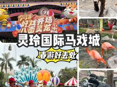 -灵玲国际马戏城