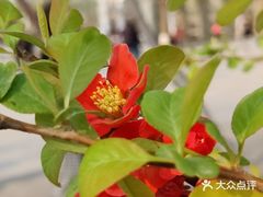 -天津水上公园
