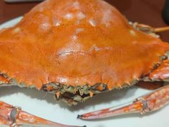 -天天鱼港·海鲜·鲅鱼水饺·招牌烤鸭(黄骅店)