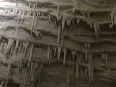 -怀托摩萤火虫洞