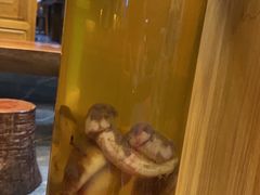-野菌皇海景野生菌火锅(滨海大道店)