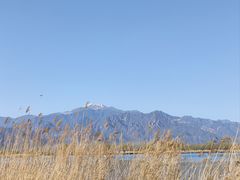 -野鸭湖国家湿地公园
