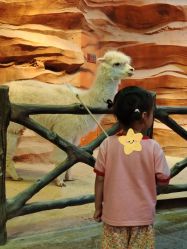 点击看大图 -酷嗒动物文化乐园(cutezoo西溪乐天城店)