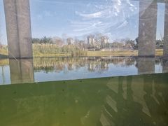 -眉山湿地公园(东坡区)
