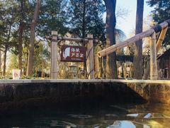 -南宫温泉水世界