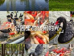 -艾溪湖湿地公园