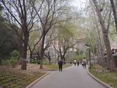 -丰台花园